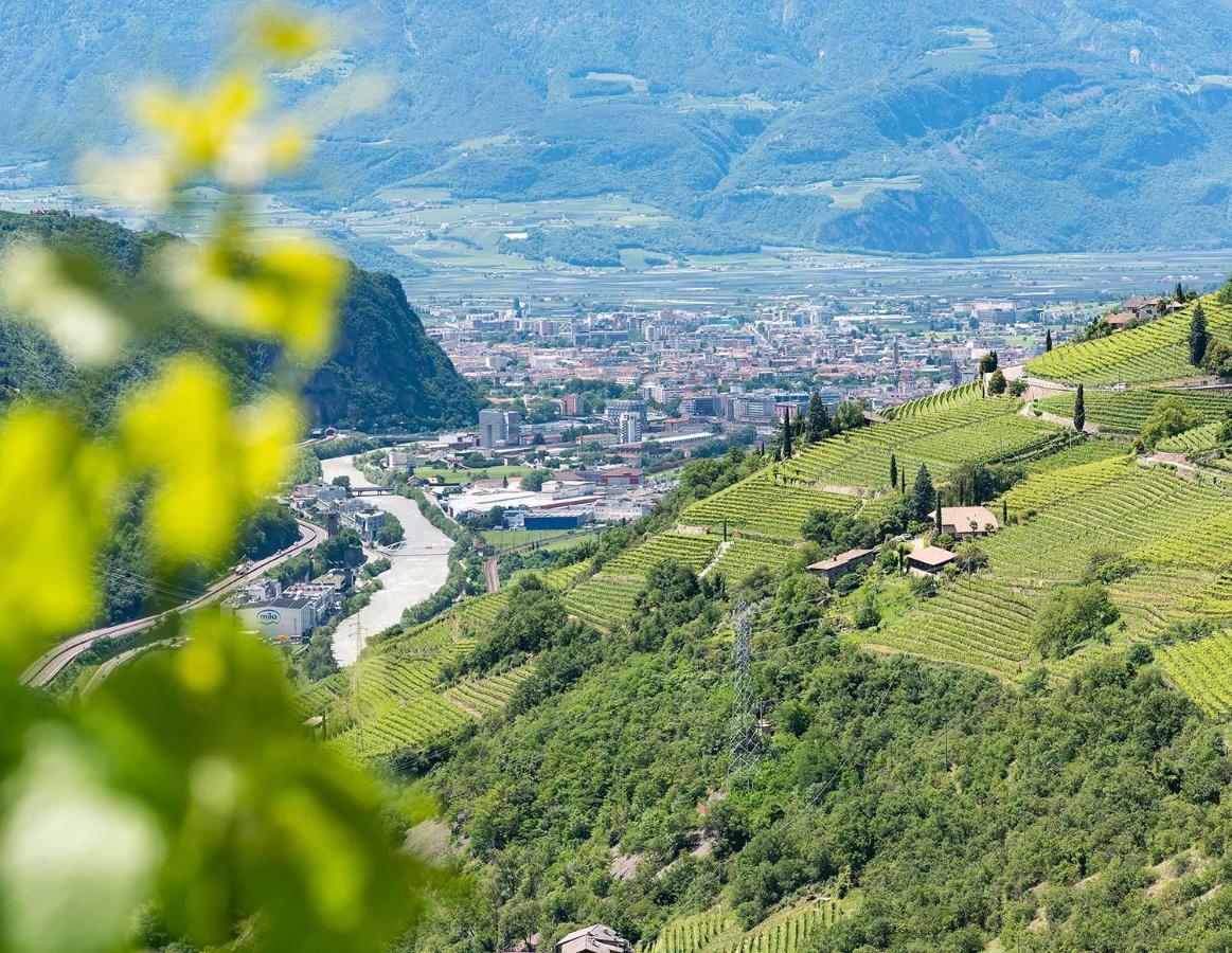Weingut Schmid Oberrautner Apartment Suites Bolzano Dış mekan fotoğraf